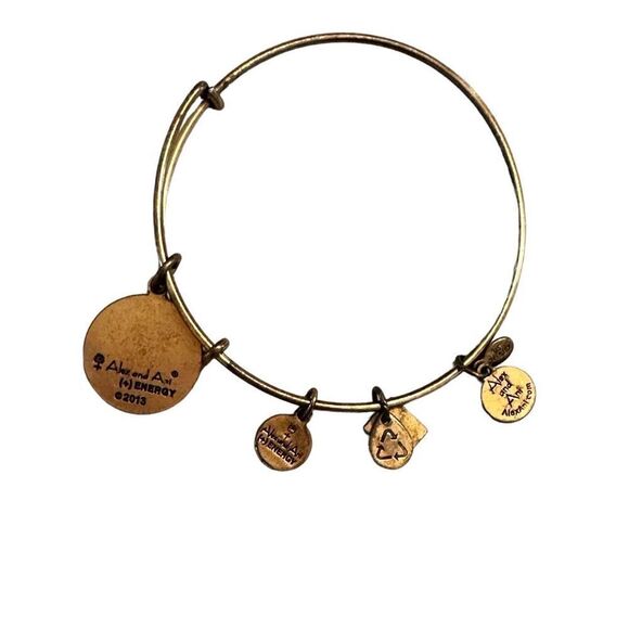 ALEX AND ANI Celtic Knot Charm Bangle in Rafaelian Gold Finish - Picture 4 of 5